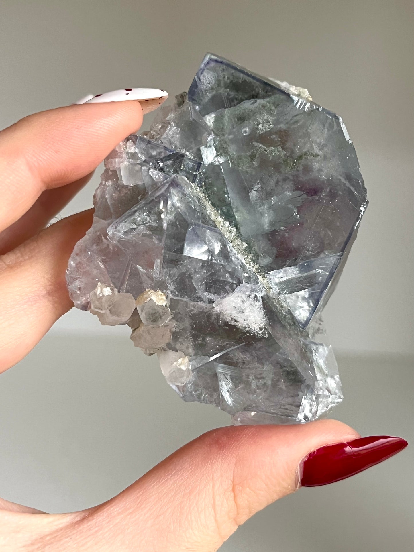 Specimen in fluorite