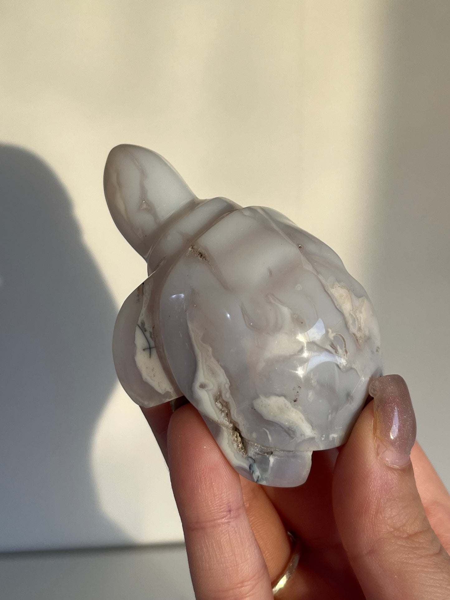 Tartaruga in agata snow