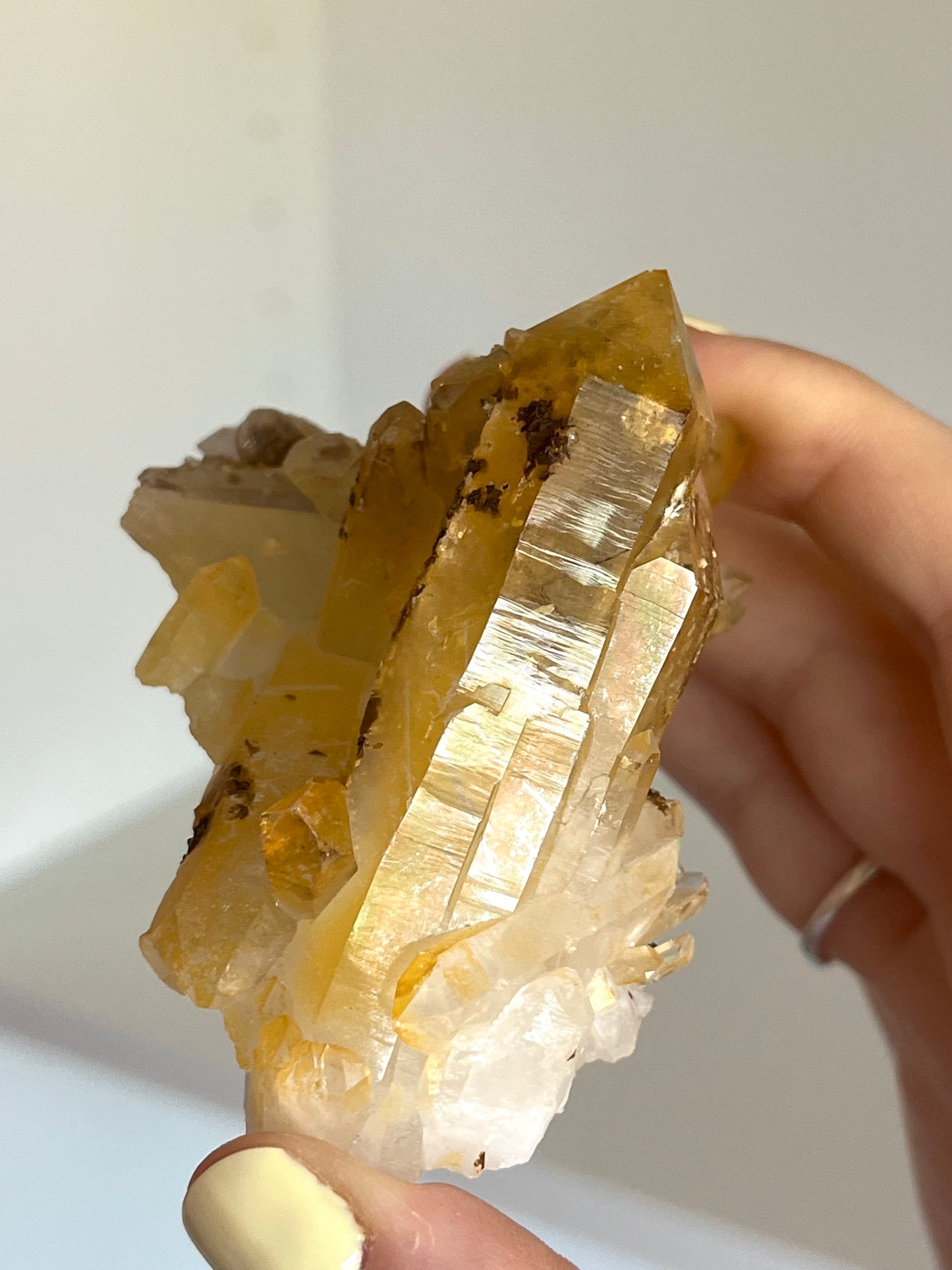 Golden healer con siderite