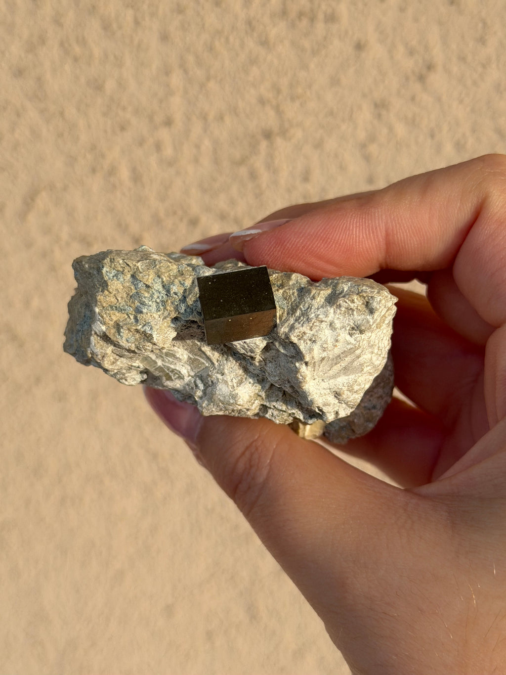 Specimen in pyrite