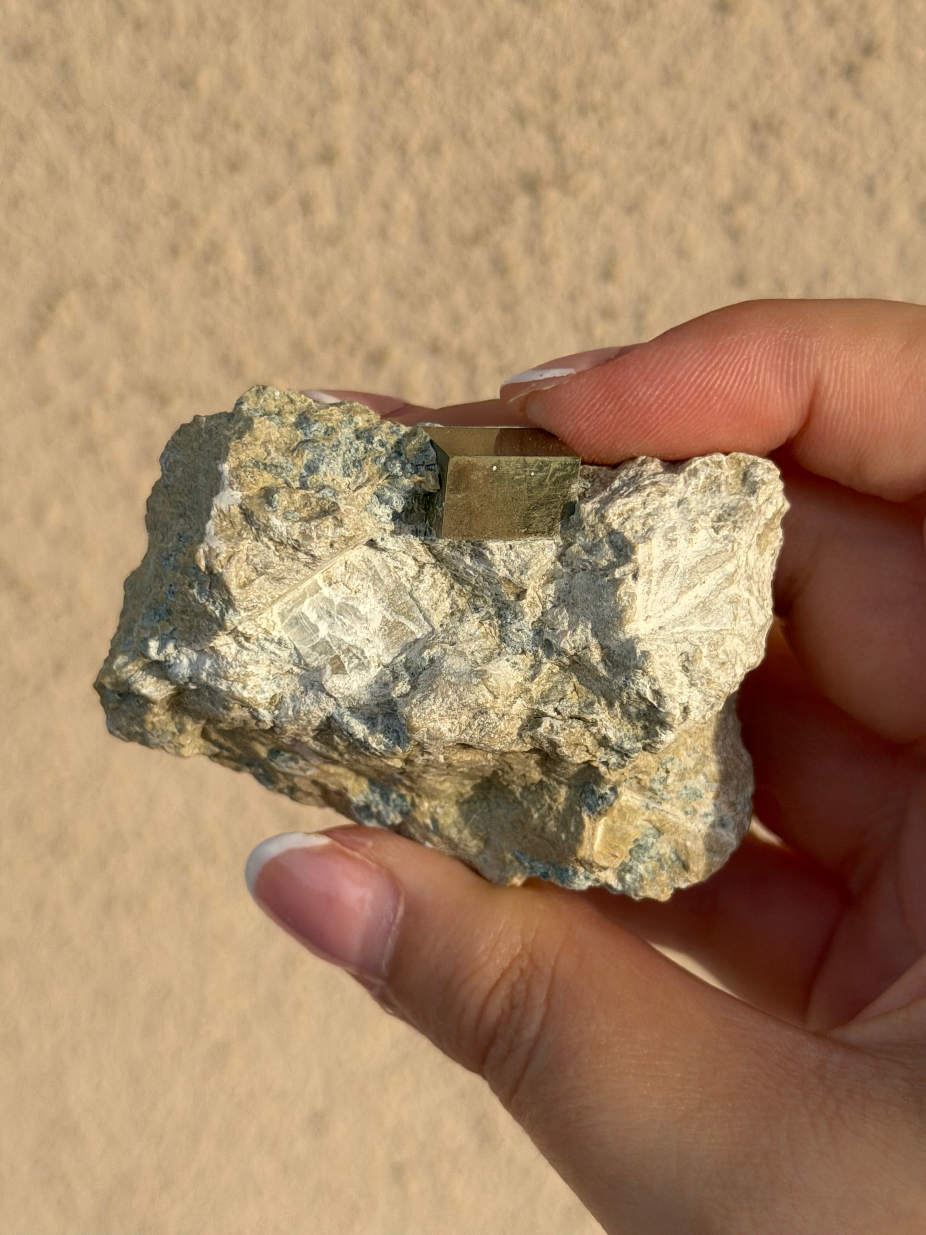 Specimen in pyrite