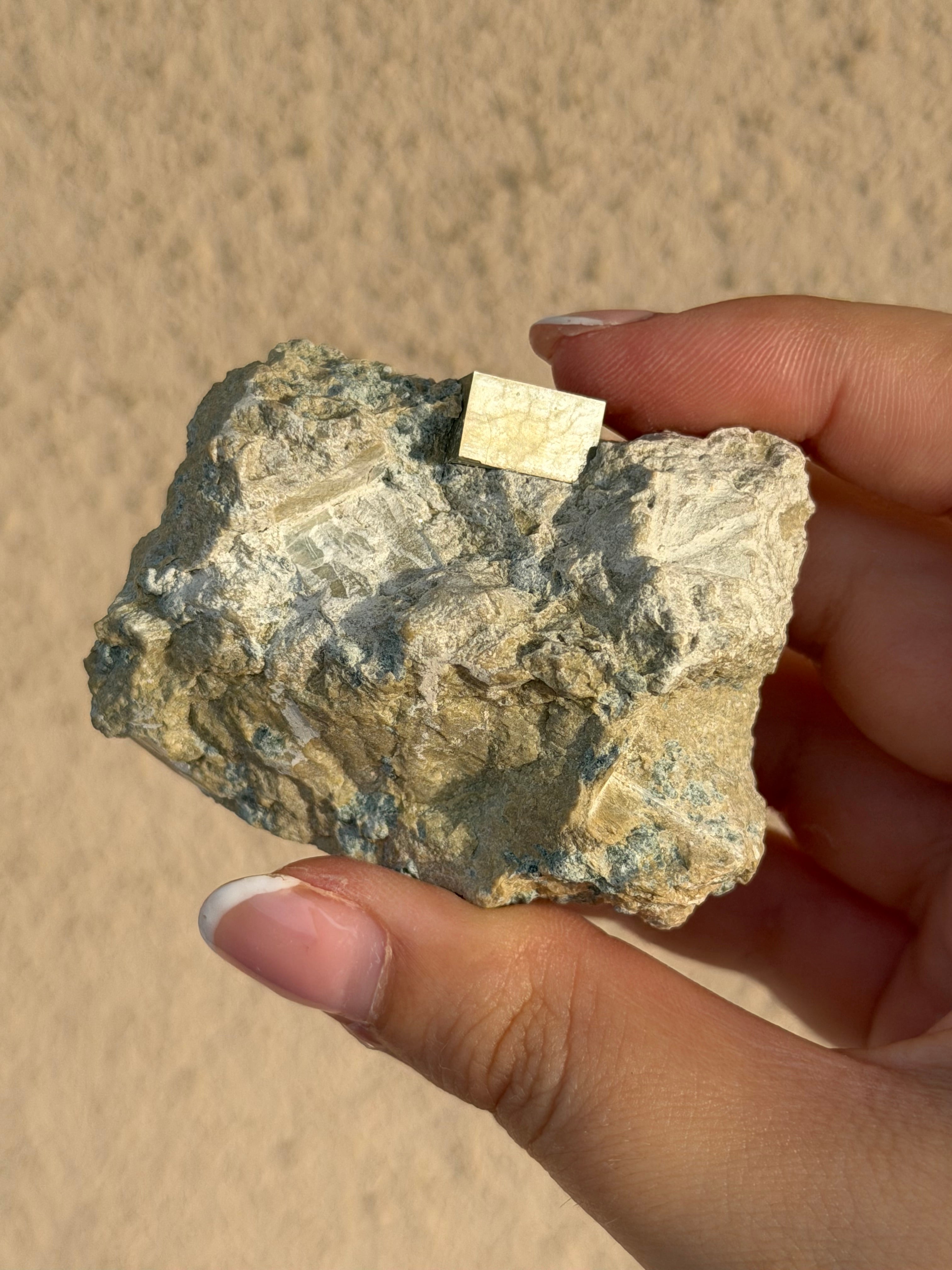 Specimen in pyrite