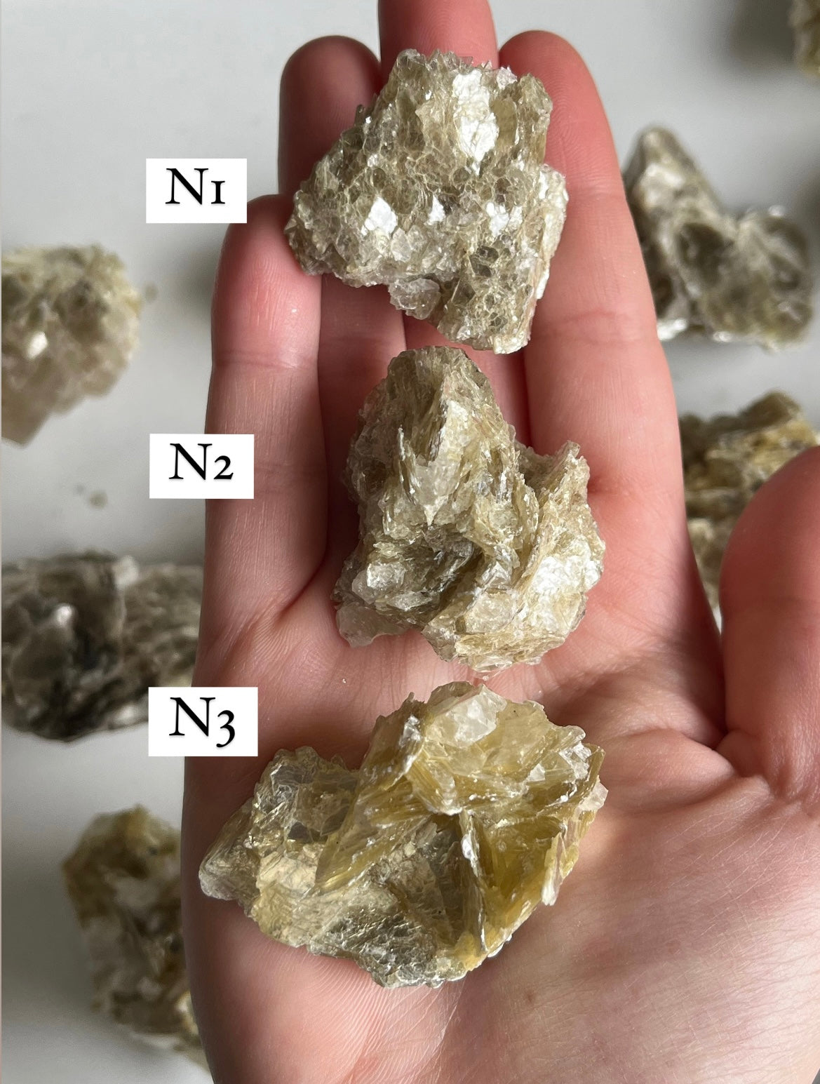 Muscovite
