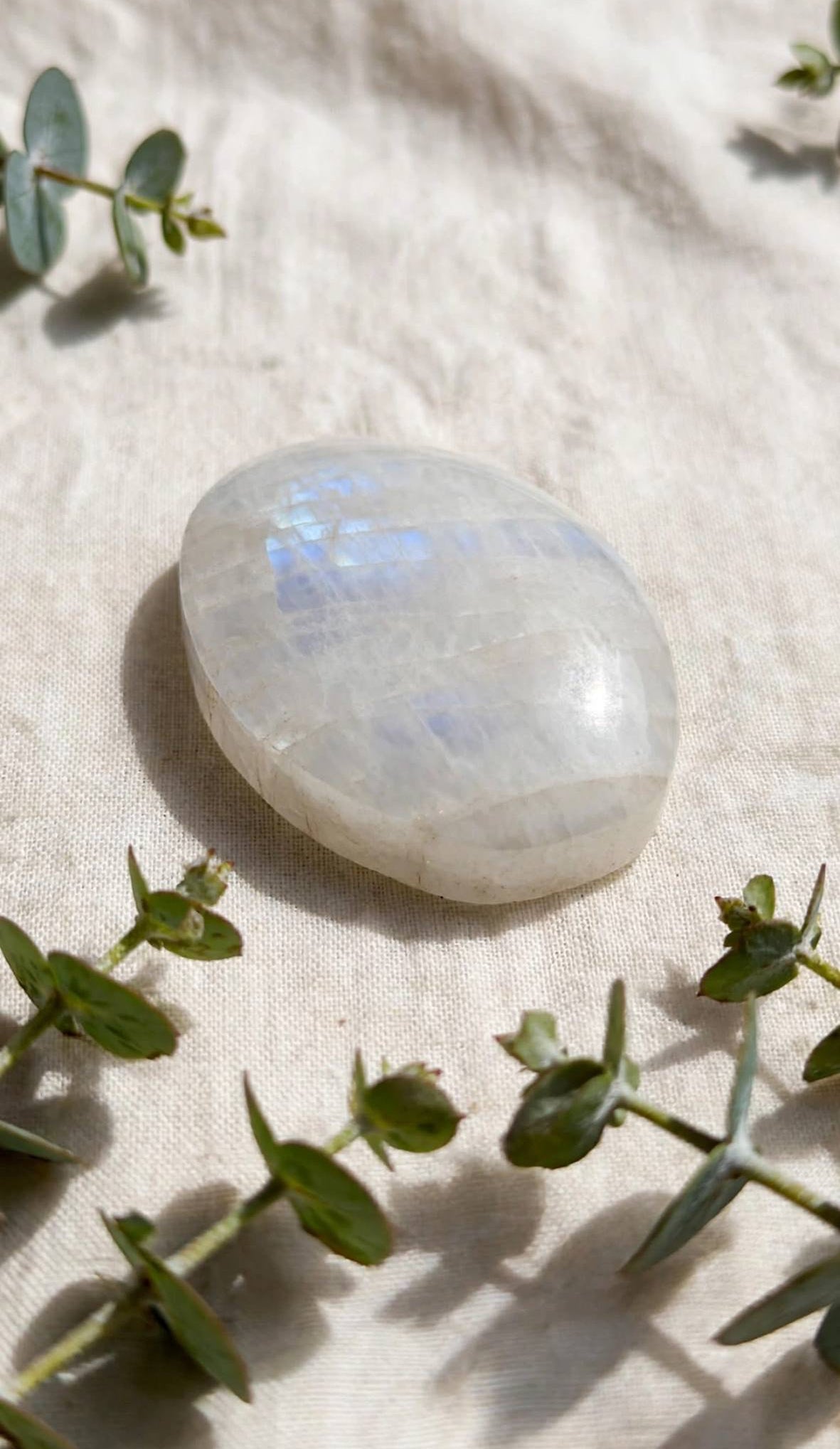 Palmstone in pietra di luna