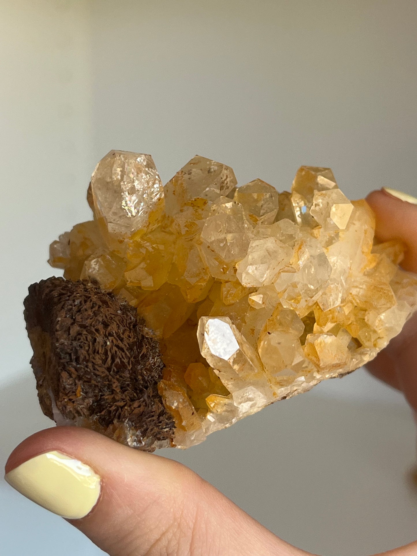 Golden healer con siderite