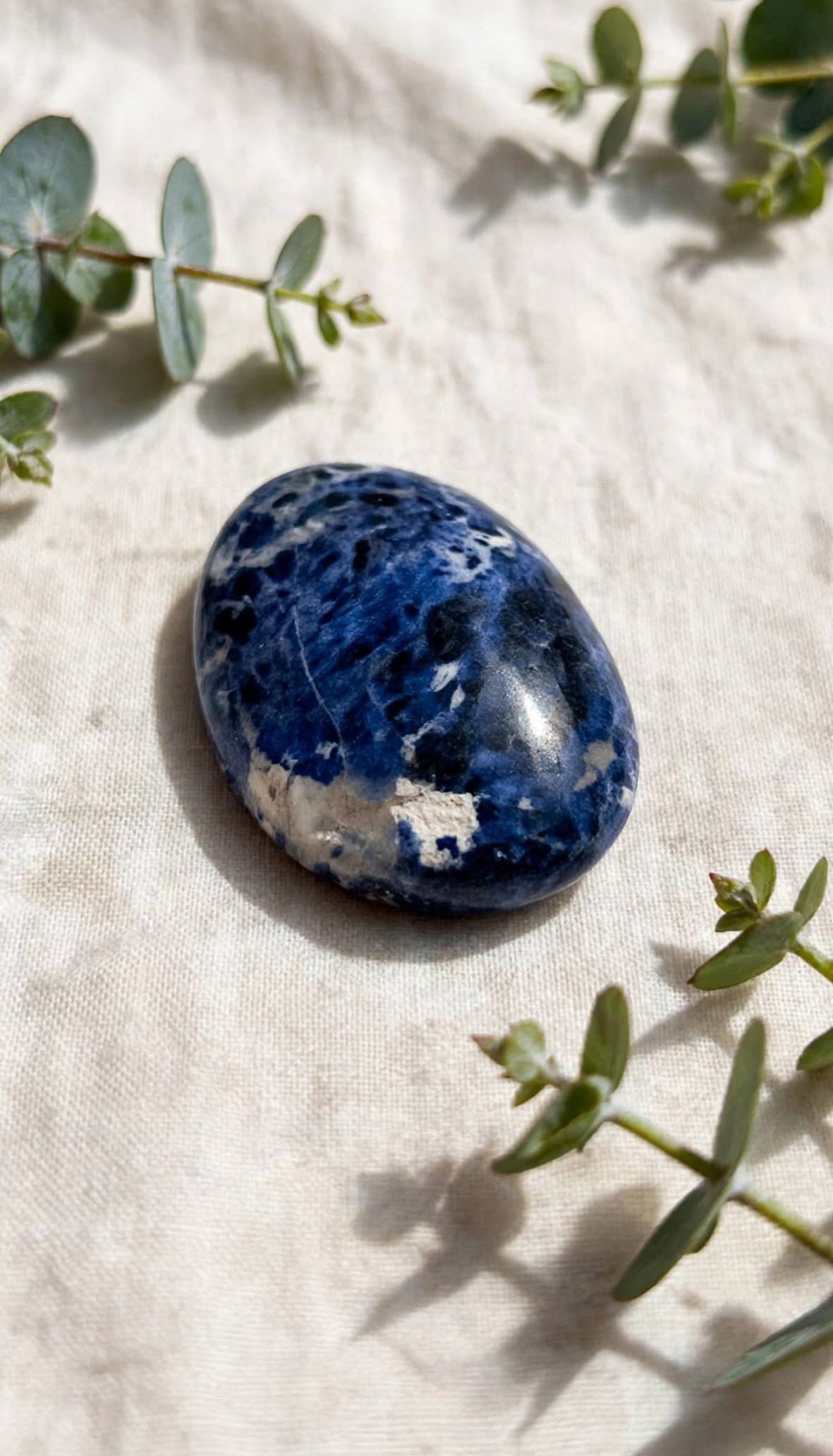 Palmstone in sodalite