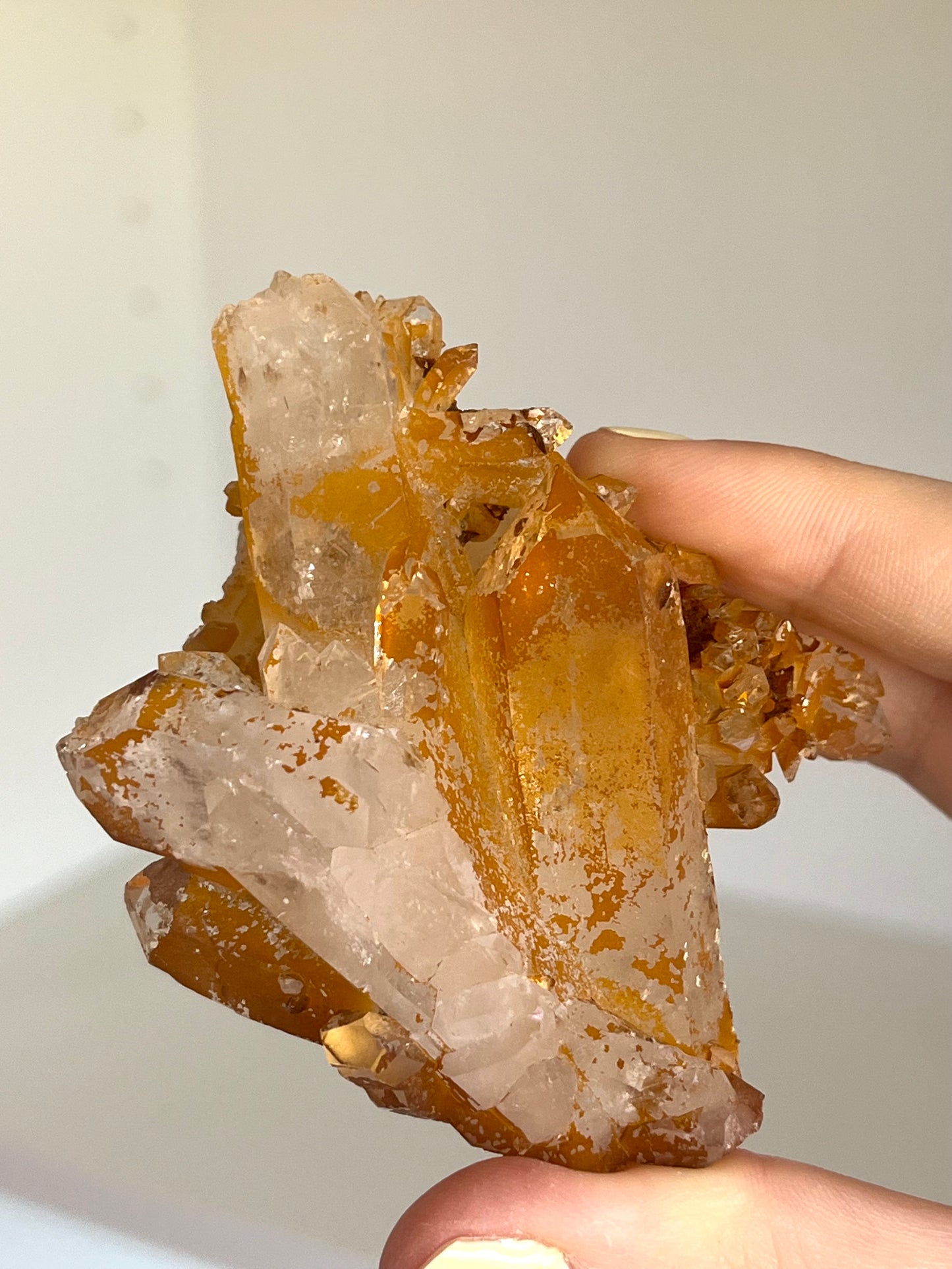 Golden healer con siderite