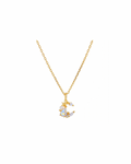 Collana luna con labradorite (argento 925)