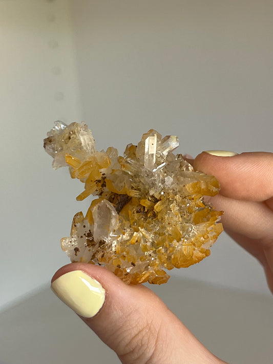 Golden healer con siderite