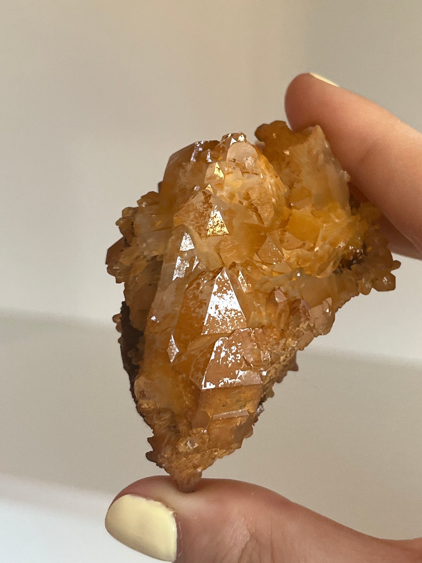 Golden healer con siderite