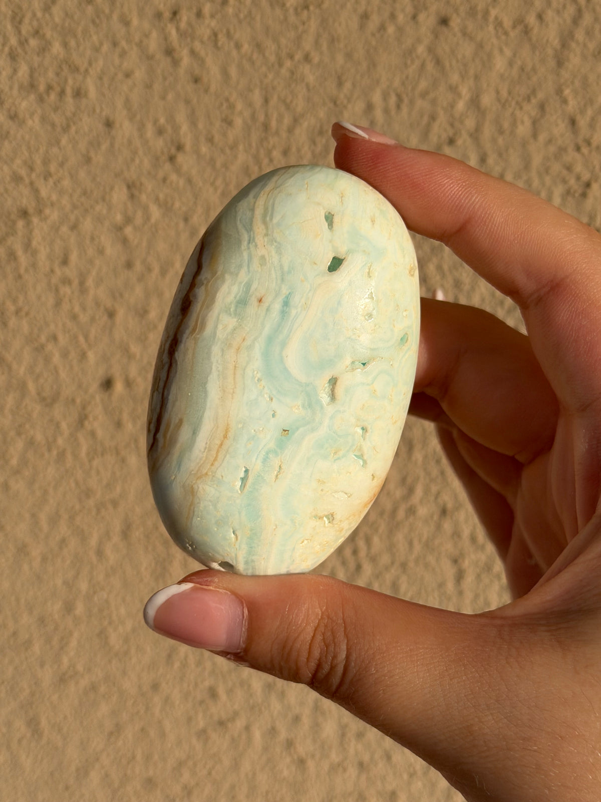 Palmstone in calcite caraibica