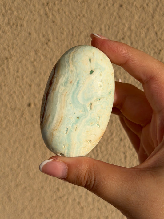 Palmstone in calcite caraibica