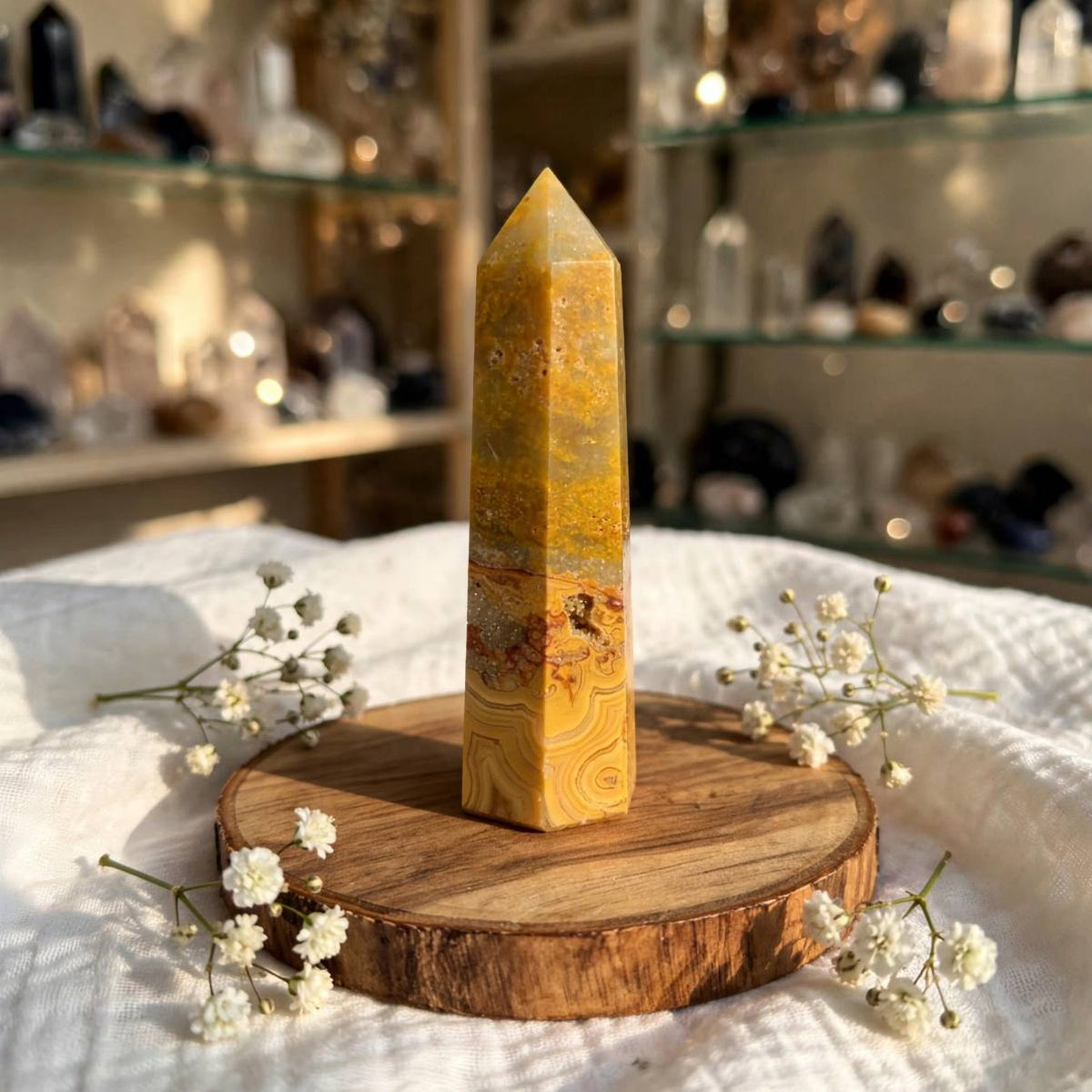 Torre in crazy lace