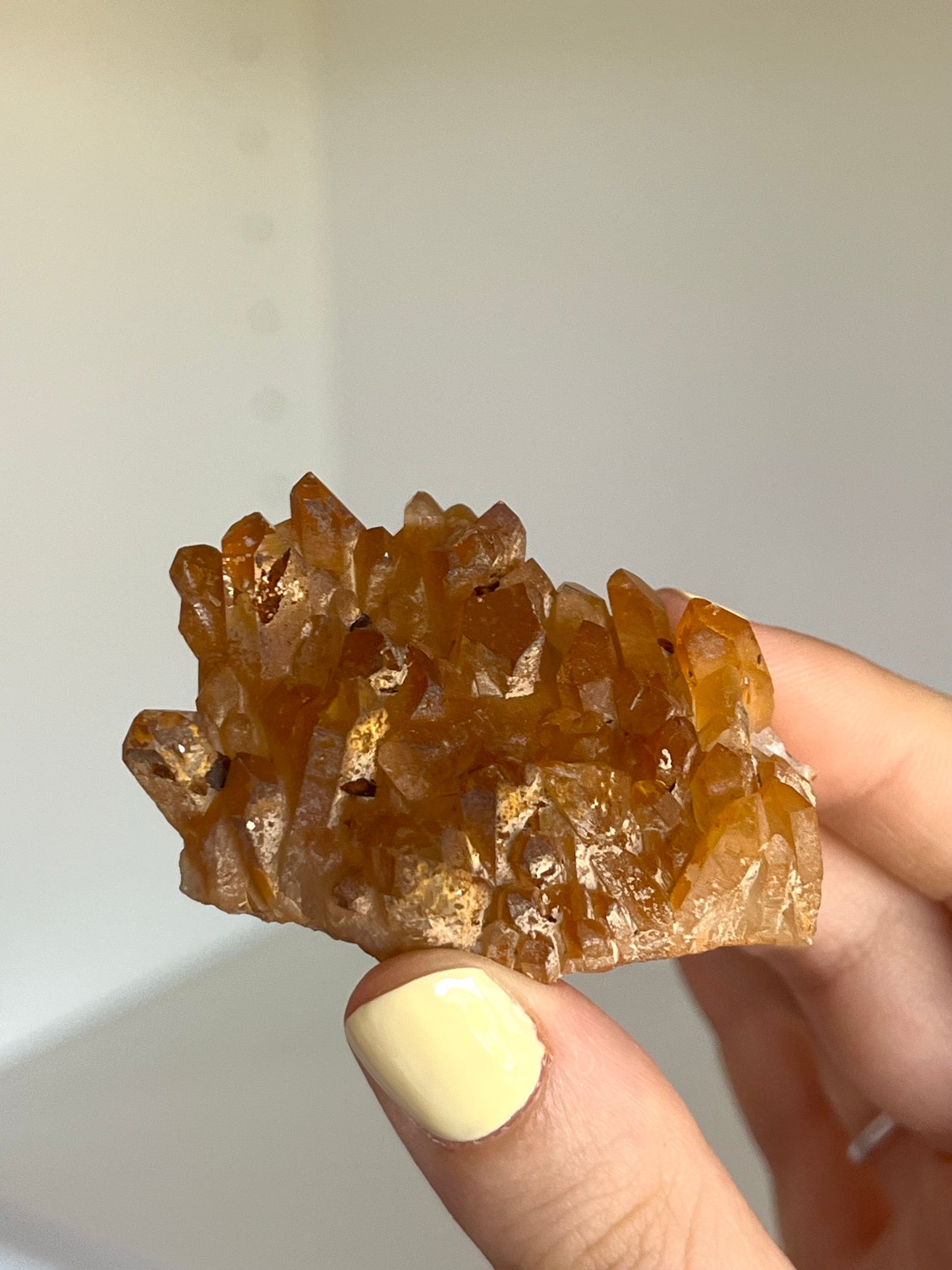 Golden healer con siderite