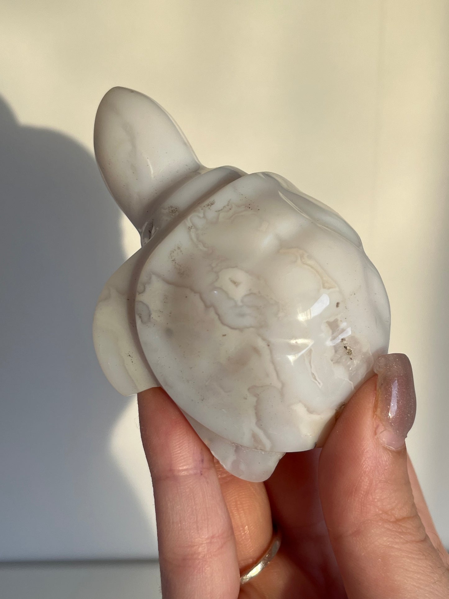 Tartaruga in agata snow