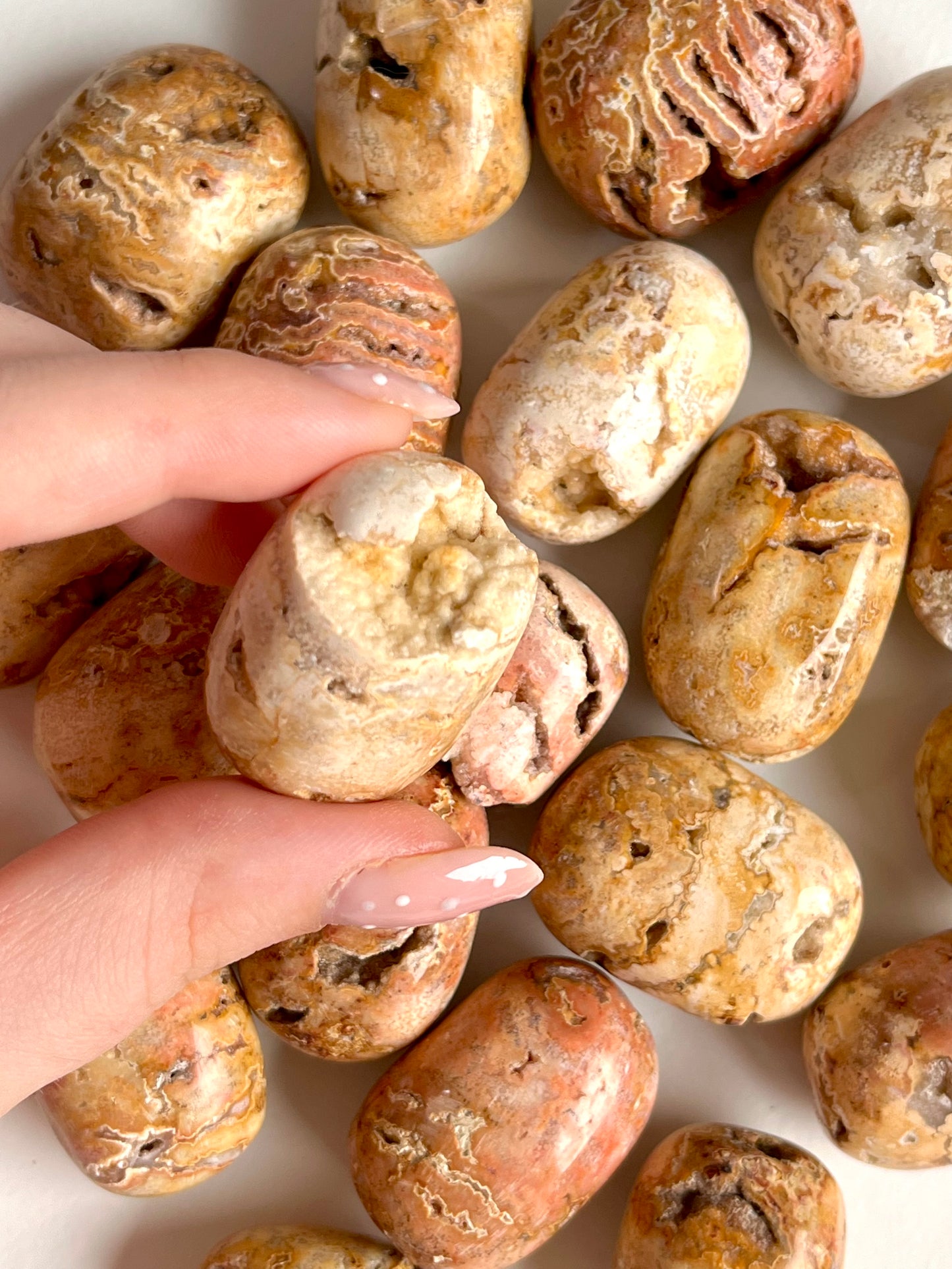 Burattata in crazy lace indonesiana