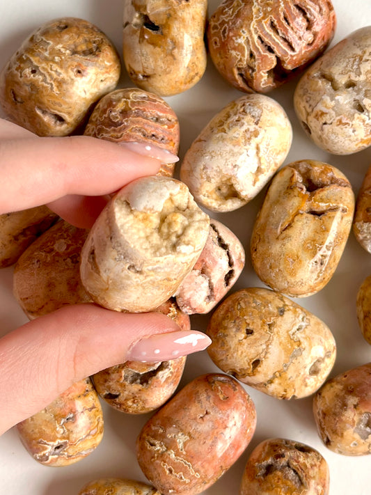 Burattata in crazy lace indonesiana